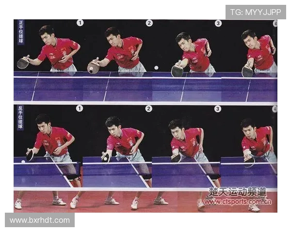 乒乓球运动的魅力与技术革新：从基础技巧到竞技策略的全面解析