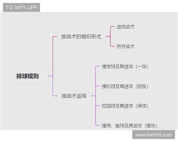 北京排球队反击战术解析与实战应用探讨