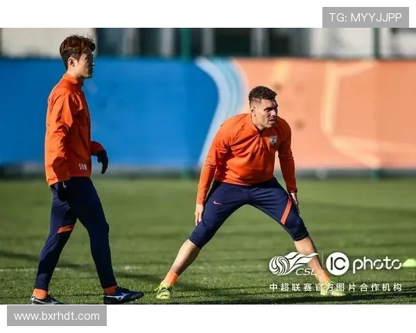 武汉排球队耐力变革引发热议展现新风貌与竞技实力