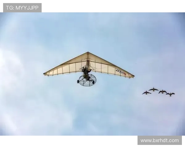 深圳街舞队在极限运动嘉年华中以58分领跑积分榜展现实力与风采