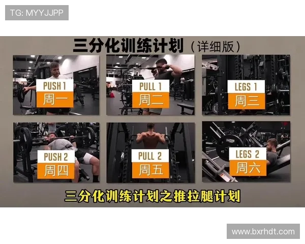 健身计划全攻略 从新手到高手的全面训练与饮食指南