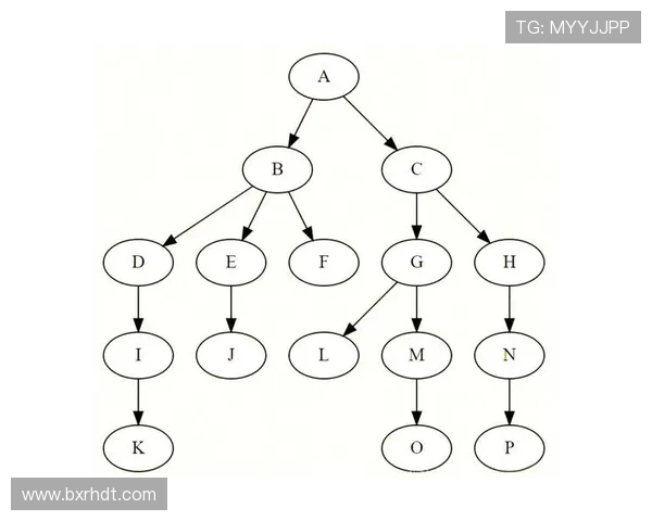 围绕篮球运动探索球队战术演变与球星成长故事全景解析魅力篇章篇